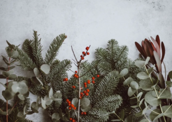 Unsplash
