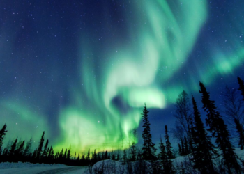 Getty Images | Vincent Demers Photography