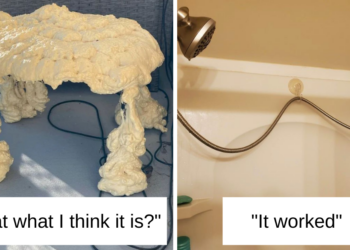 Reddit