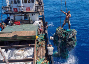Facebook | Ocean Voyage Institute / Project Kaisei
