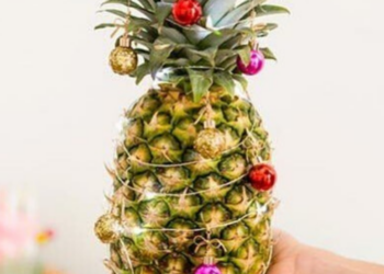 Instagram | @thepineappleeverything