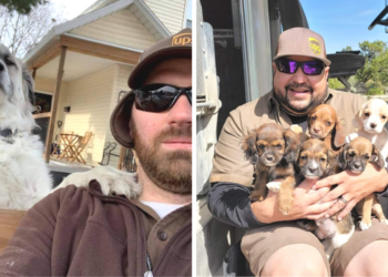 Facebook | UPS Dogs
