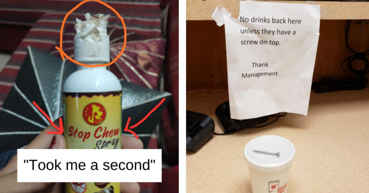 Reddit