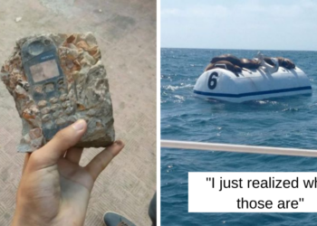 Reddit