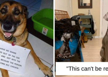 Reddit