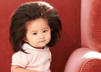 P&G Japan Hair Care Communications