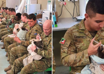 Facebook | 9th Brigade - Australian Army