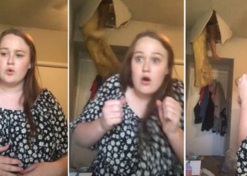 TikTok | @lizjsm_