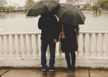 Unsplash | Romina Ahmadpour