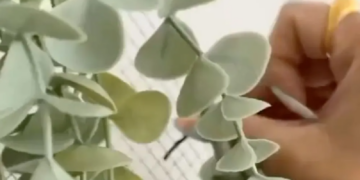 TikTok | @nikkissecretxx