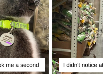 Reddit
