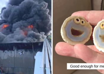 Reddit