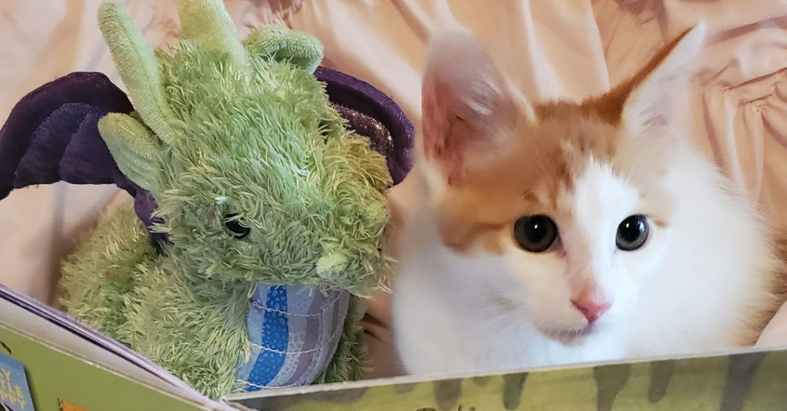 Facebook | Adventures of Ponyo and Dragon