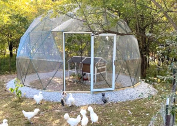 Etsy | SunriseDomes