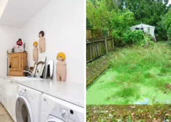 Terrible Real Estate Agent Photographs