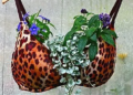 Facebook | Container Gardening Alliance