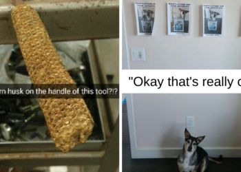 Reddit