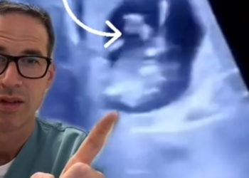 TikTok | @nicu_musings