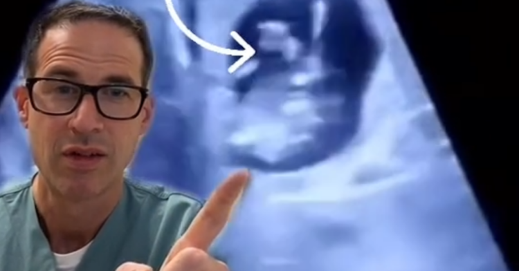 TikTok | @nicu_musings