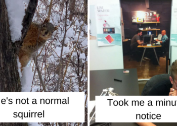 Reddit