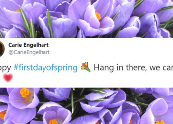 Canva / Twitter | @CarieEngelhart
