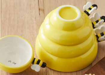 Yellow Octopus