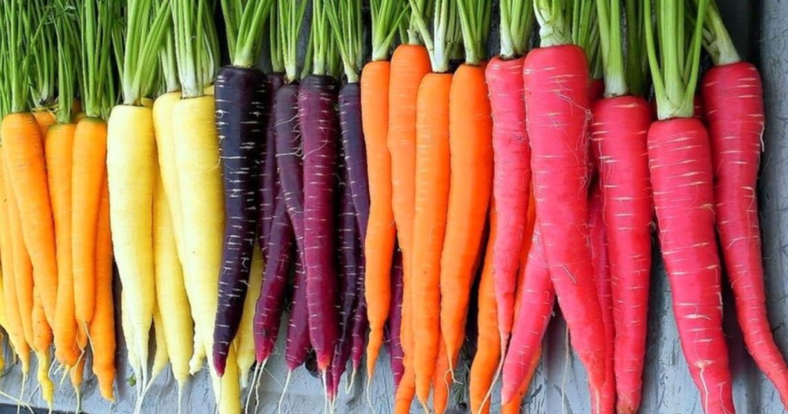 Etsy | SmartSeedsEmporium