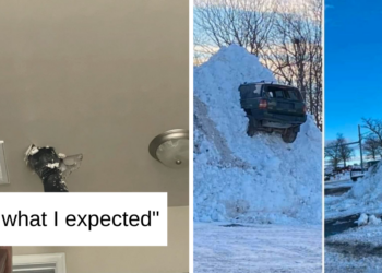 Reddit