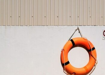 Unsplash | Matthew Waring