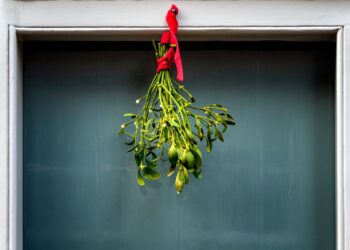 Paul Zoetemeijer l Unsplash