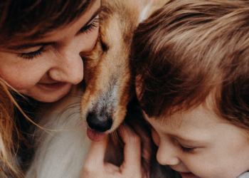 Pexels | Mary Nikitina