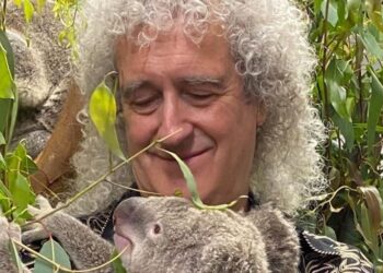 Instagram | @brianmayforreal