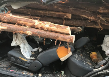 Facebook | Whitfield County Fire