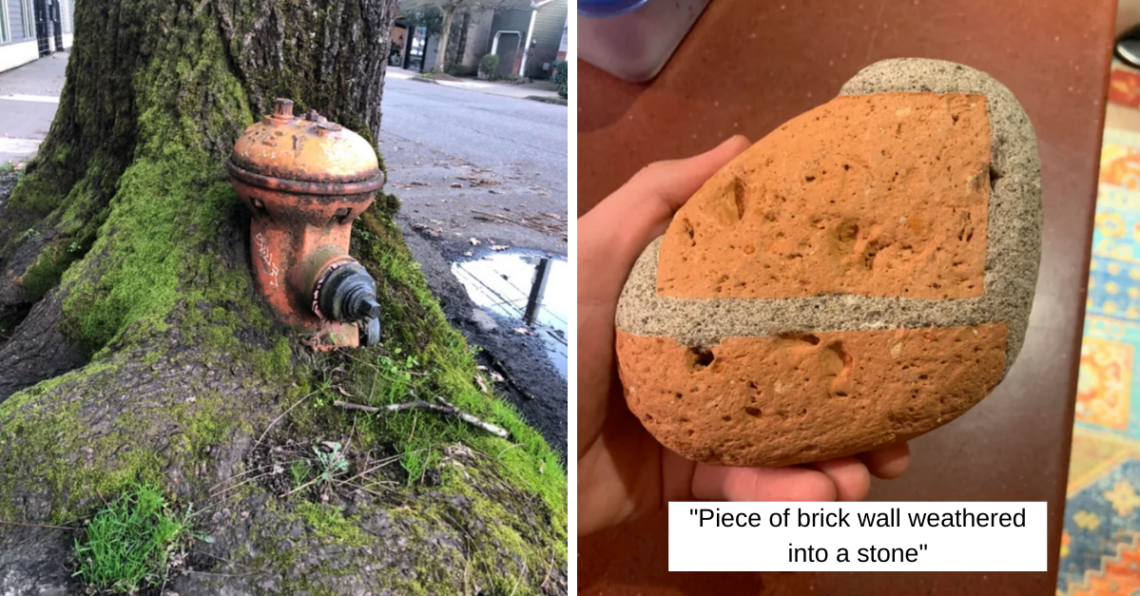 Reddit