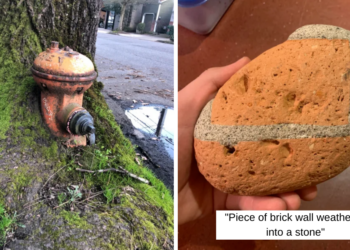 Reddit