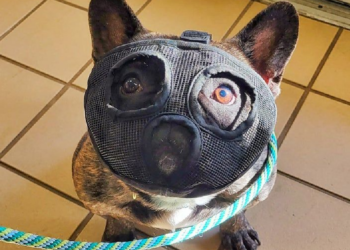 Reddit | SirLeigh