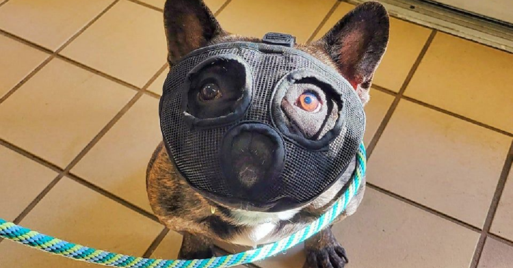 Reddit | SirLeigh