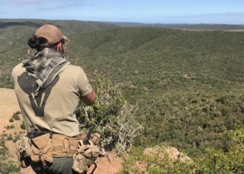 Instagram | @vetpaw