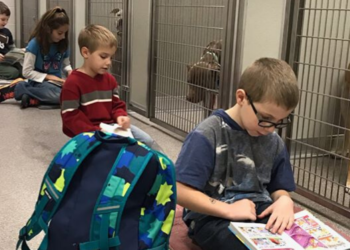 Facebook | Ingham County Animal Control and Shelter