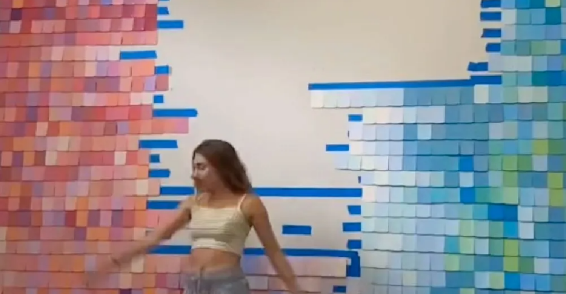 TikTok | @skylarcapri
