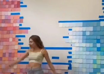 TikTok | @skylarcapri