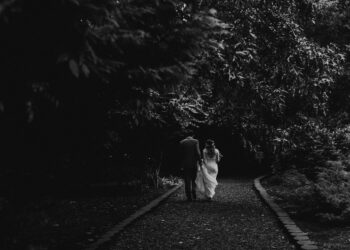 Unsplash | Unsplash
