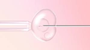 Flickr | vardhanfertility2022