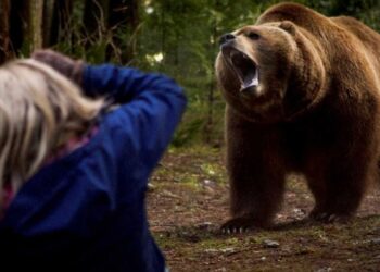 Destination Films