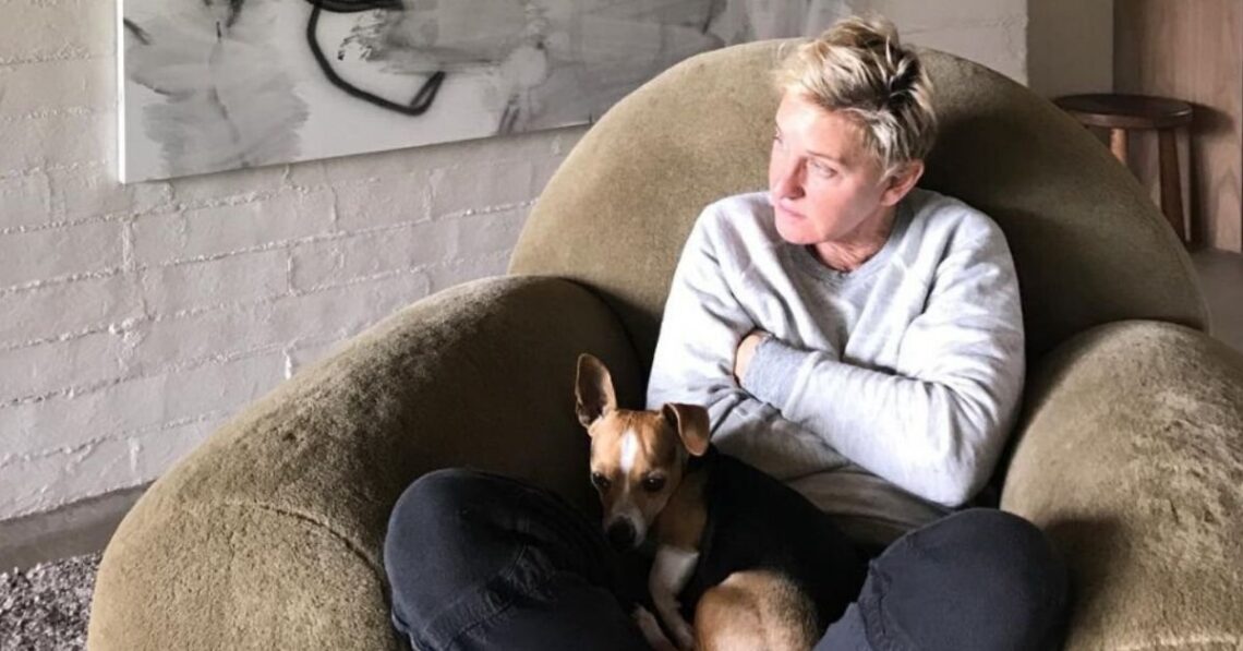 Twitter | @TheEllenShow