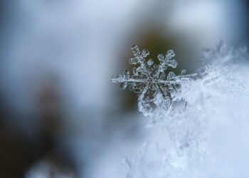 Unsplash | Unsplash