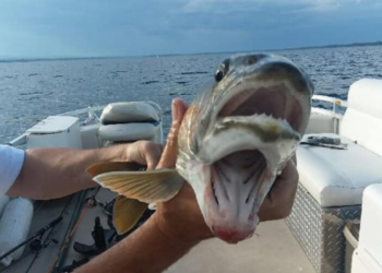 Facebook | Knotty Boys Fishing