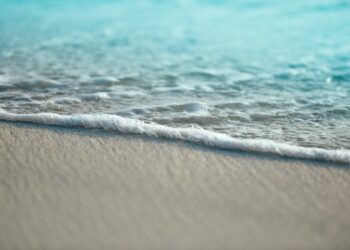Unsplash | Unsplash