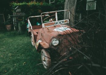 Unsplash | Unsplash