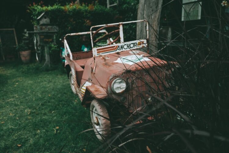 Unsplash | Unsplash